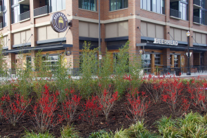 Beerhead Restaurant in Cleveland