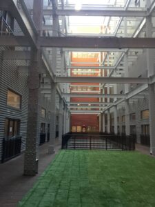 Euclid Grand project